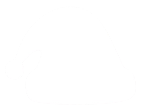 logo bonnet page dédiée.png